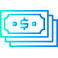 cash icon